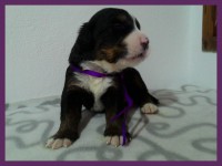 /album/a2-tyzden/kolaz-ii-12-jpg1/